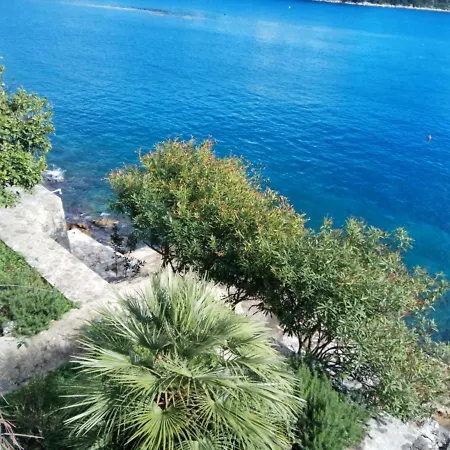 Mljet 4you - House